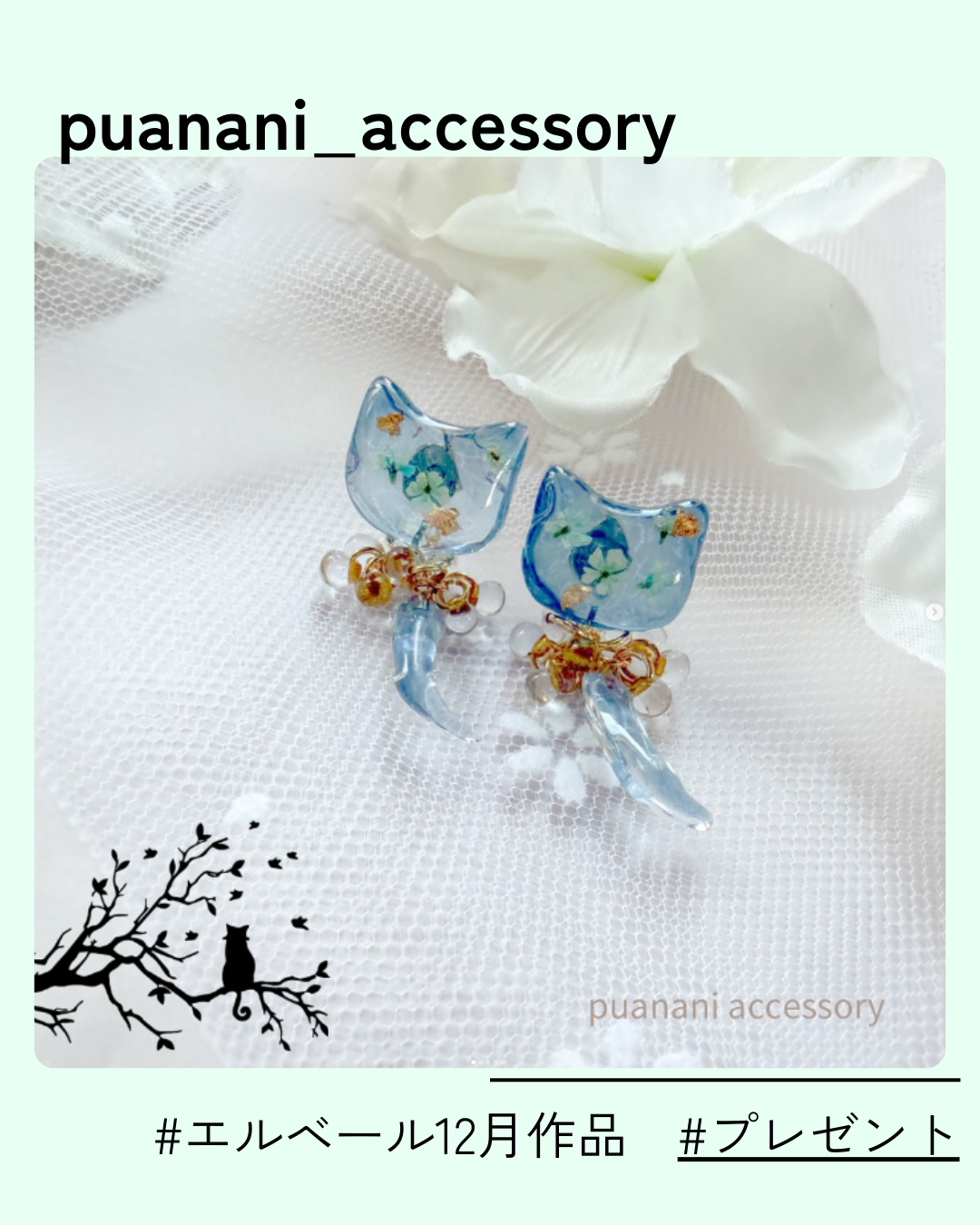 6_puanani_accessory