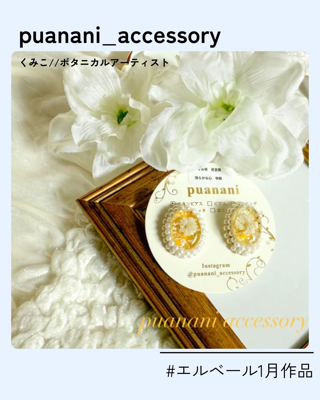 17_puanani_accessory