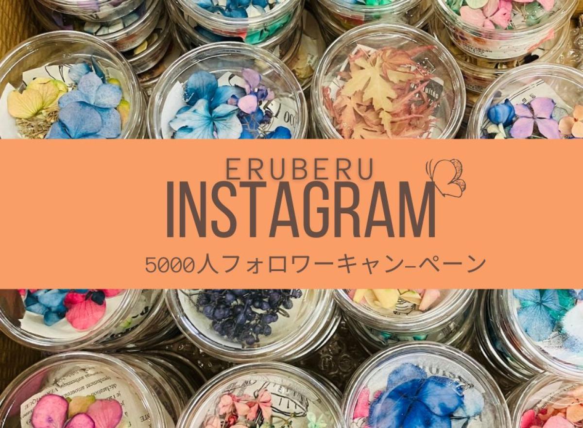 インスタグラム　フォロワー5000人達成！